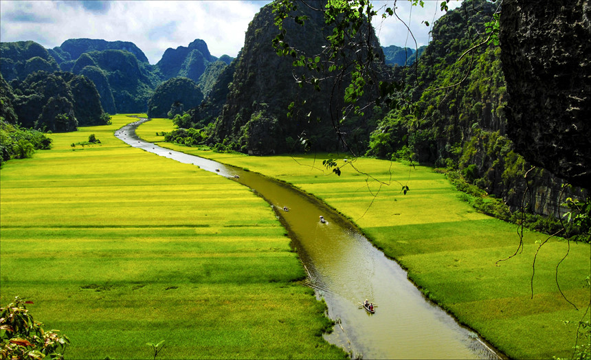 vietnamesetranslation13